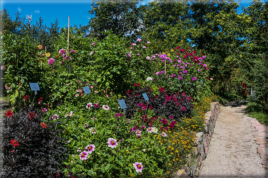 foto Giardini Trauttmansdorff - Paesaggi dell'Alto Adige